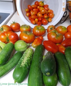 Monday's harvest included lots of tomatoes and cucumbers.