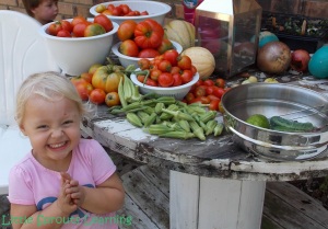 Yesterday's harvest gave us more tomatoes, melons, okra, cucumbers, a few green beans, and some more tomatillos!  